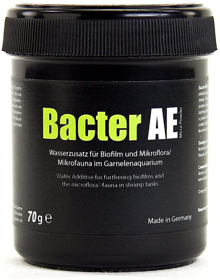 Glasgarten Bacter