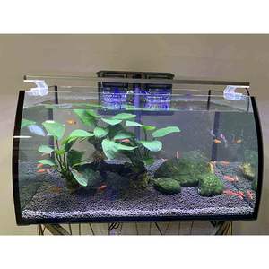 LED Fish Tank (48in x 30in)