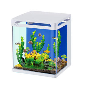 LED Fish Tank