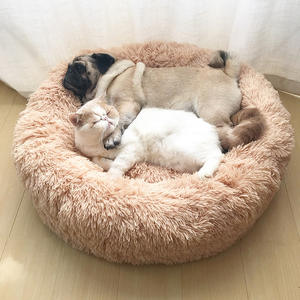 Dog Bed (small)